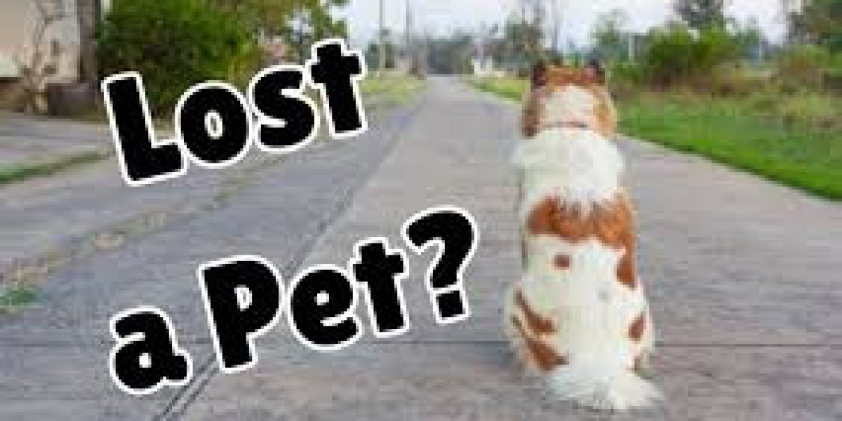 Online Lost and Found Service for the USA | GetItBk.com