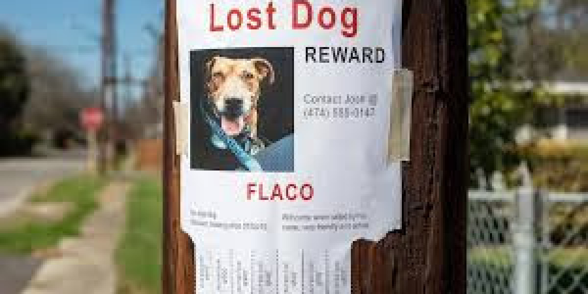Lost and Found Dogs & Pets: Reunite Fast | GetItBk.com