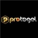 protogel protogel Profile Picture