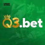 q3bet q3bet Profile Picture