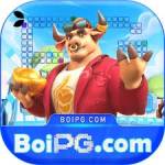 boipg boipg Profile Picture