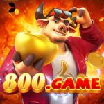 800game 800game Profile Picture